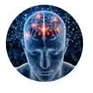 Foto de perfil de Manual da Mente.